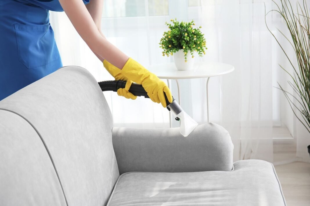 The Benefits Of Professional Upholstery Cleaning In Cambridge Park
